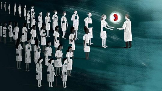 Bagaimana Mendaftar Pendonor Organ di Winconsin,Amerika Serikat