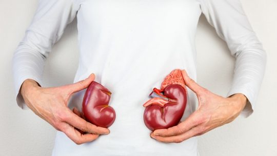 Bagaimana Persyaratan Menjadi Donor Ginjal