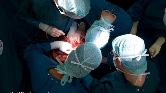 Pengambilan Organ Secara Paksa di China